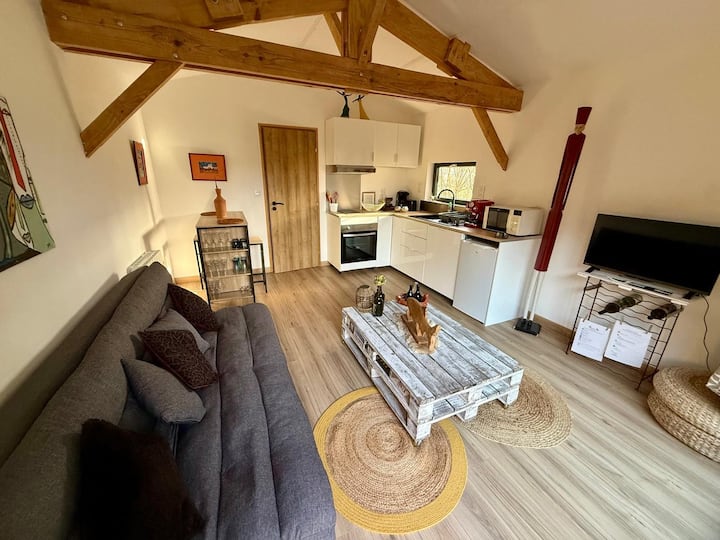 Petite Maison Près Du Lac - Lacanau