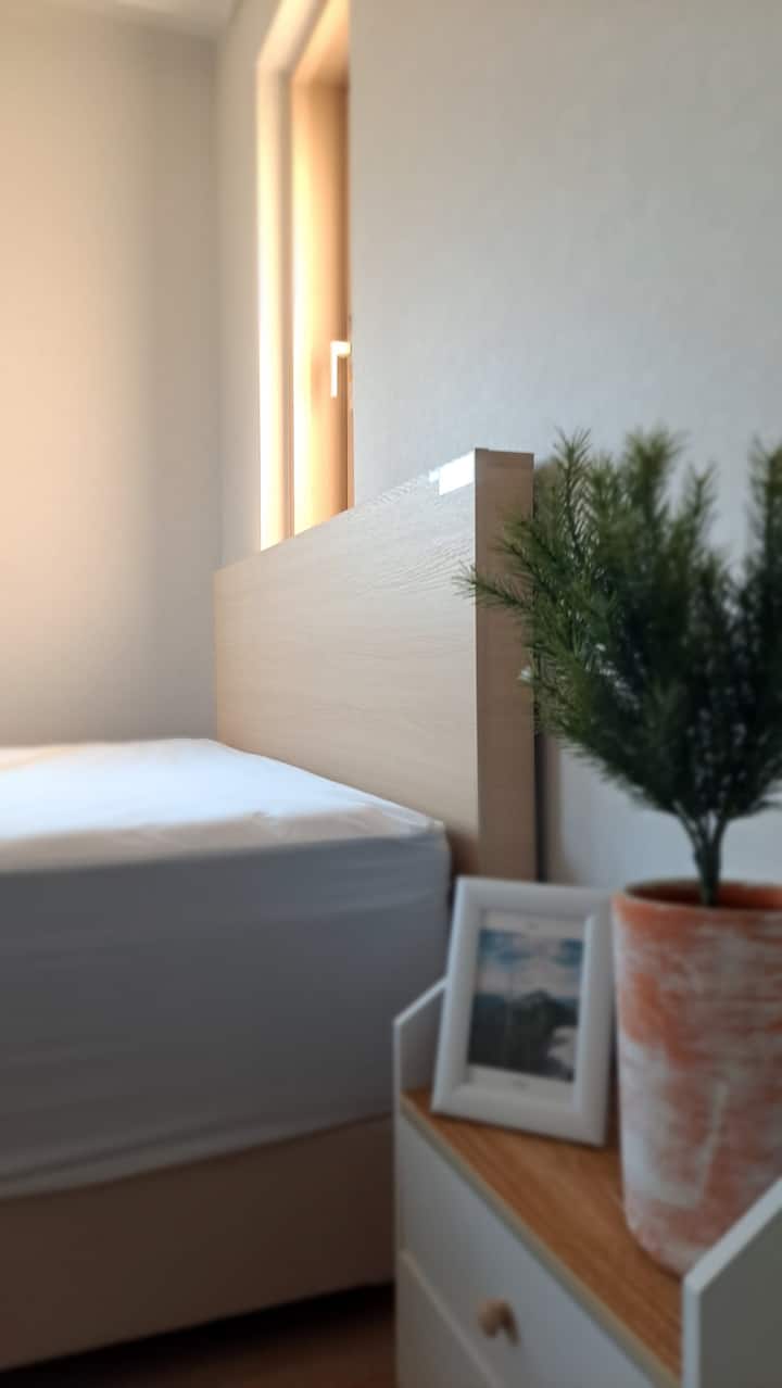 ที่นอนพิเศษ SKMagic EcoHue + 
ชุดโครงไม้รองพื้น (ขนาดควีนไซส์) .010-2220 -8177