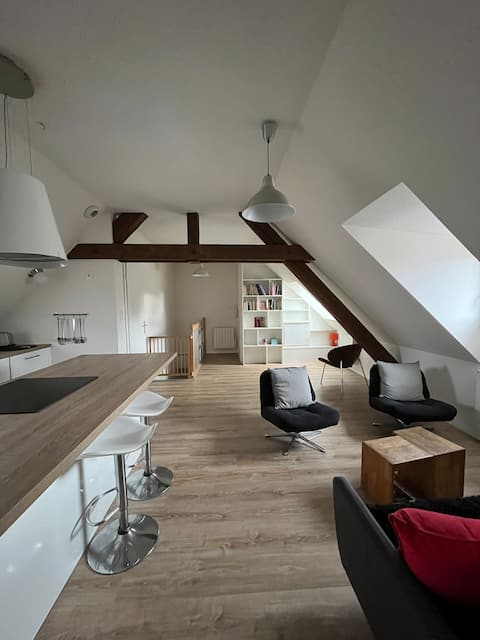 Top performing Airbnb: Characterful apartment in Colmar. in Haut Rhin
