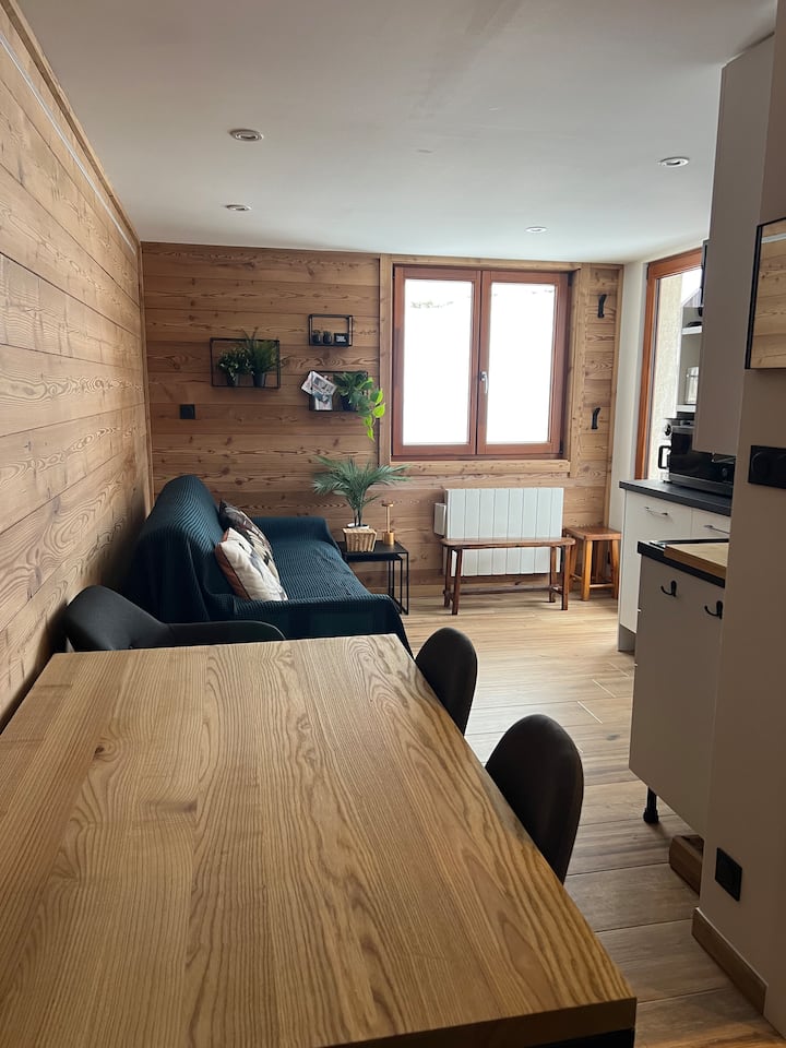 Studio Neuf Esprit Chalet, Ski Aux Pieds & Parking - ティニュ