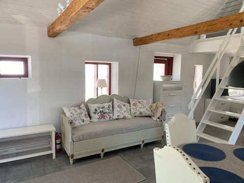 Cottage by the field