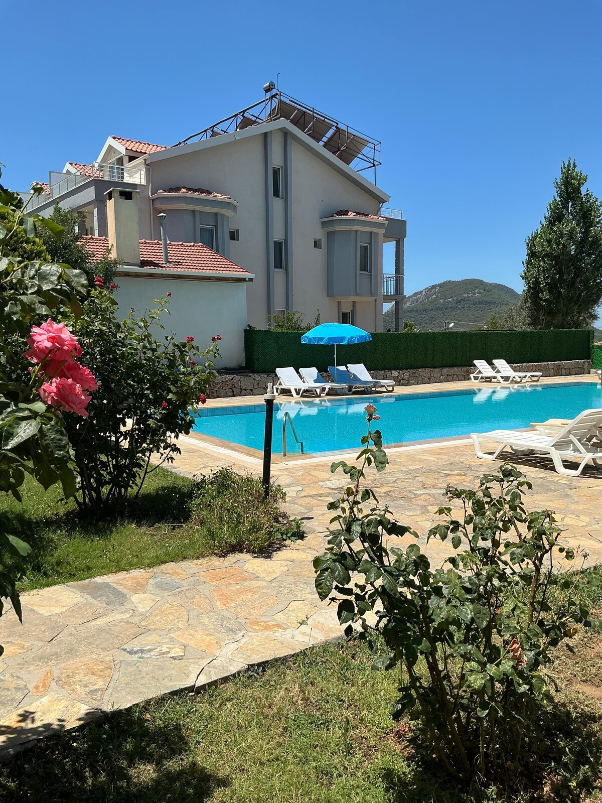 A well-maintained outdoor area features a clear blue pool surrounded by lounge chairs. Colorful flowers and greenery border the space, providing a serene environment. A bright blue umbrella offers shade near the pool, while a two-story building stands in the background against a clear sky.