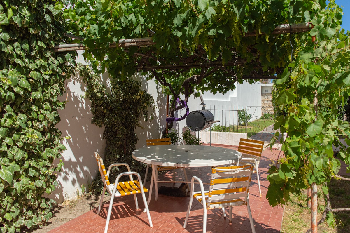 A shaded outdoor area is provided beneath a lush grapevine canopy, featuring a round table accompanied by several chairs. The surrounding greenery adds to the space's serene ambiance, creating an inviting spot for relaxation.