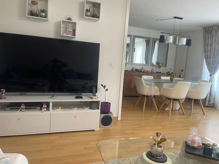 Appartement Spacieux à Nyon - Nyon