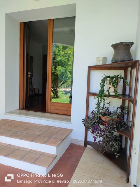 Floral room in Villa Miani