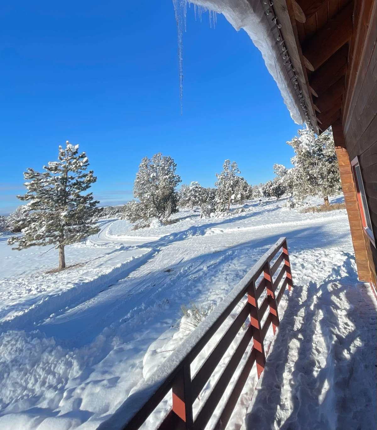 A snowy landscape is visible from a cabin's exterior, featuring freshly fallen snow blanketing the ground and surrounding pine trees. A clear blue sky contrasts the snow, and a railing with a red trim frames the view, leading towards a winding path that disappears into the distance.