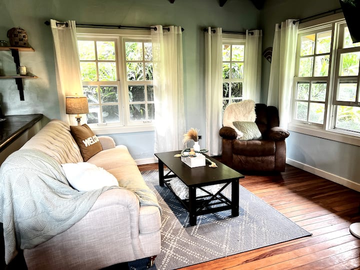 Sehemu ya kuishi inayofanya kazi na ya kupumzika, yenye sofa yenye ukubwa kamili yenye starehe sana, kitanda, feni ya safu na televisheni ya inchi 42. Mito na mablanketi mengi ya ziada!