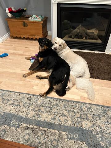 South Salem getaway gallery image 5