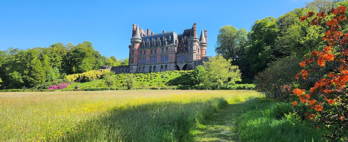 A grand chateau is set against a clear blue sky, surrounded by lush greenery. Colorful flowers bloom in the foreground, while a pathway meanders through a vibrant meadow, leading towards the impressive structure in the distance.