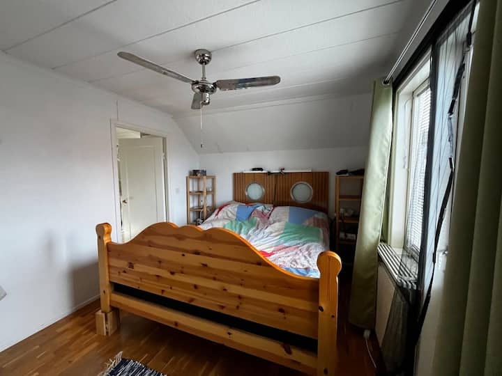 Habitación 1