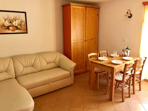 Successful Airbnb property: Ap Zrinka with beautiful roof terrace in Općina Preko