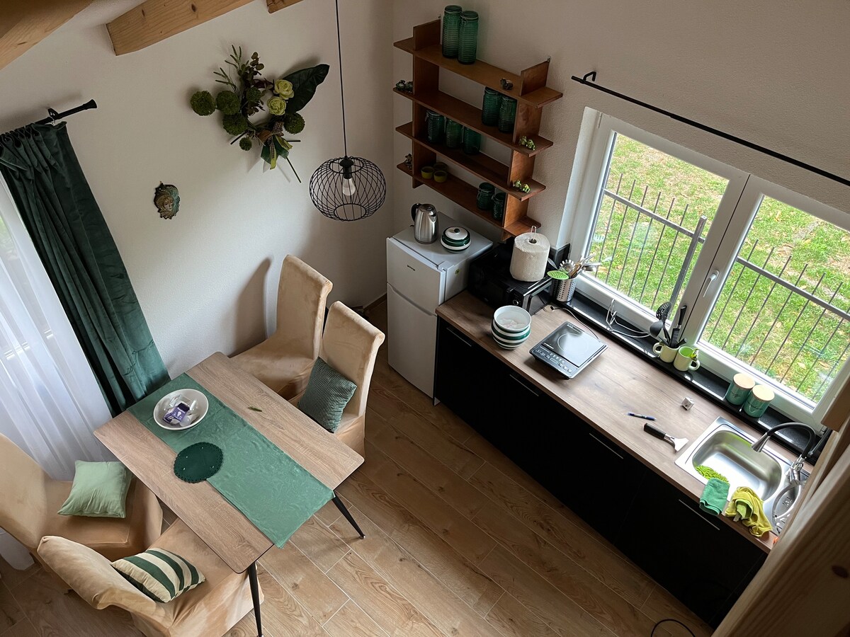 A modern kitchen and dining area is showcased, featuring a wooden table with plush chairs. Shelving displays green glassware, and ample natural light enters through the windows, offering views of the outdoor greenery. The kitchen counter is equipped with essential appliances and tableware.