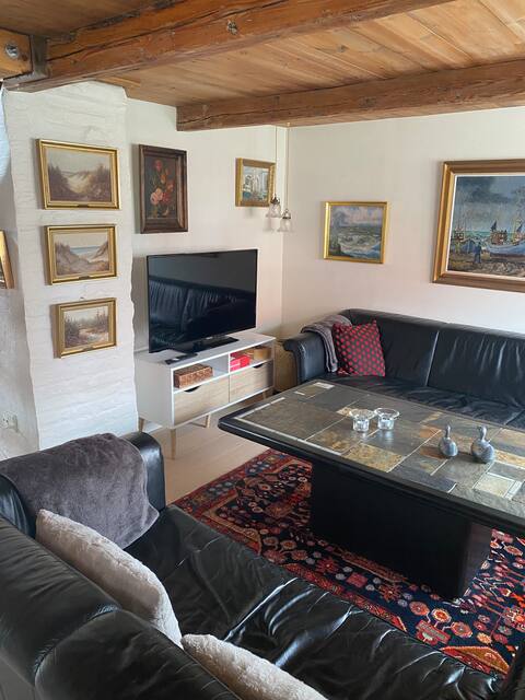 Popular Airbnb listing: Cozy little townhouse in Vesthimmerlands