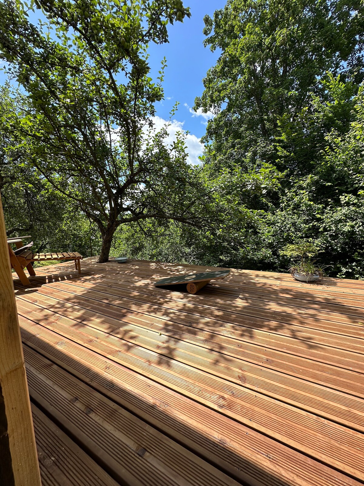 A wooden terrace is surrounded by lush trees, offering a serene outdoor space. Sunlight filters through the leaves, casting playful shadows on the deck. A small wooden platform is visible, providing a place for relaxation amidst nature.