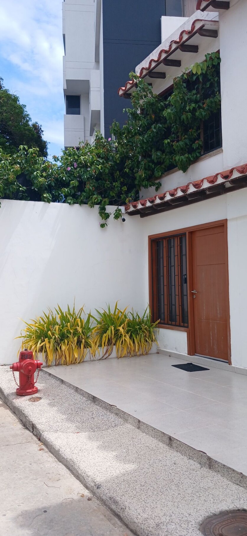 An entrance to the two-story building is visible, featuring a wooden door framed by a wall adorned with greenery. A neat row of yellow-leaved plants decorates the entrance, complemented by a smooth, light-colored patio area. A fire hydrant is positioned on the ground nearby.