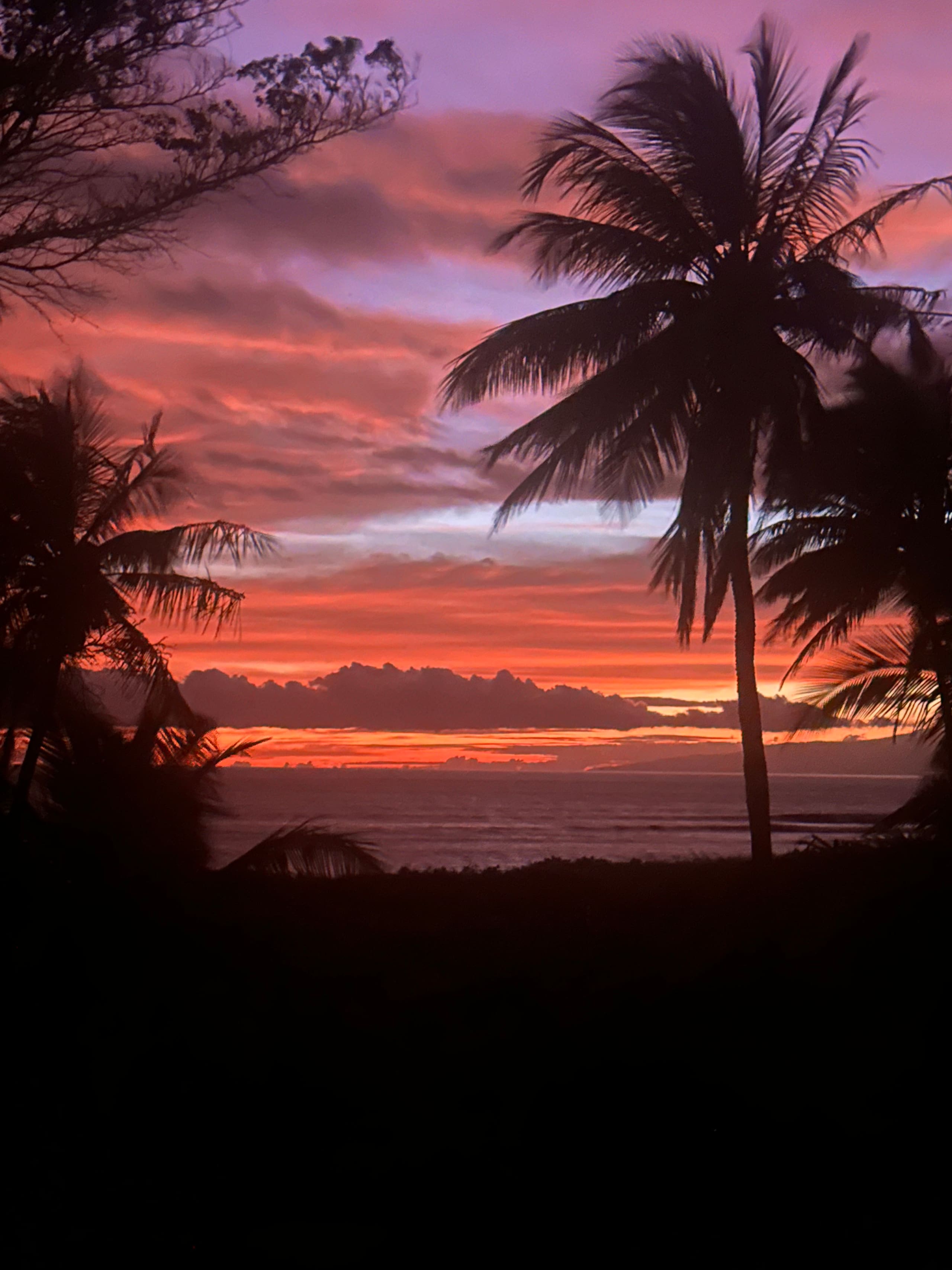 Villa in Kihei · ★4.95 · 8 bedrooms · 9 beds · 6.5 baths - Image 61