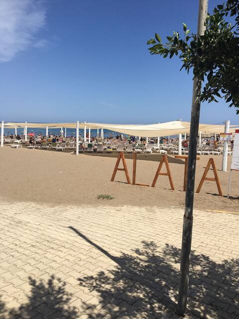 Mavibeyaz1