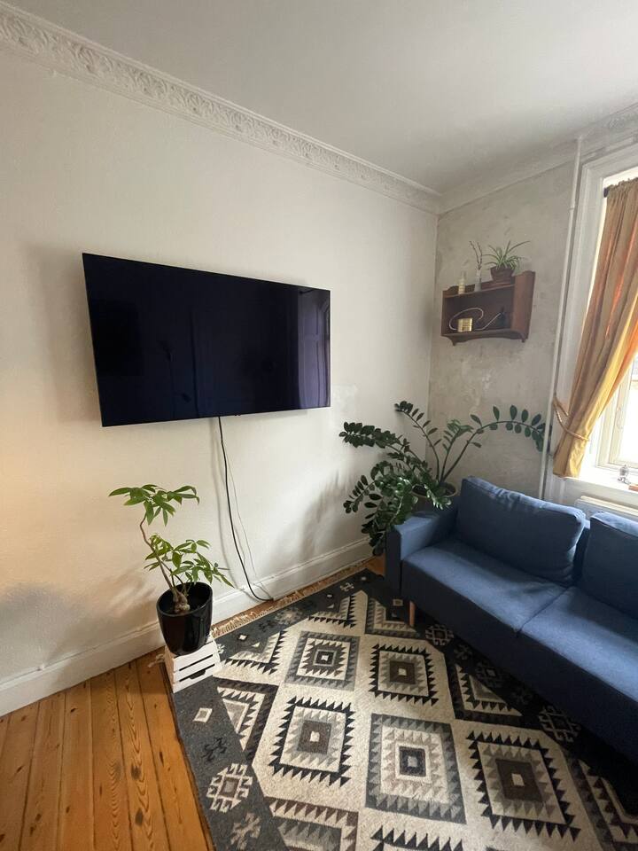 Hyggelig Lejlighed På Amager - Copenhagen