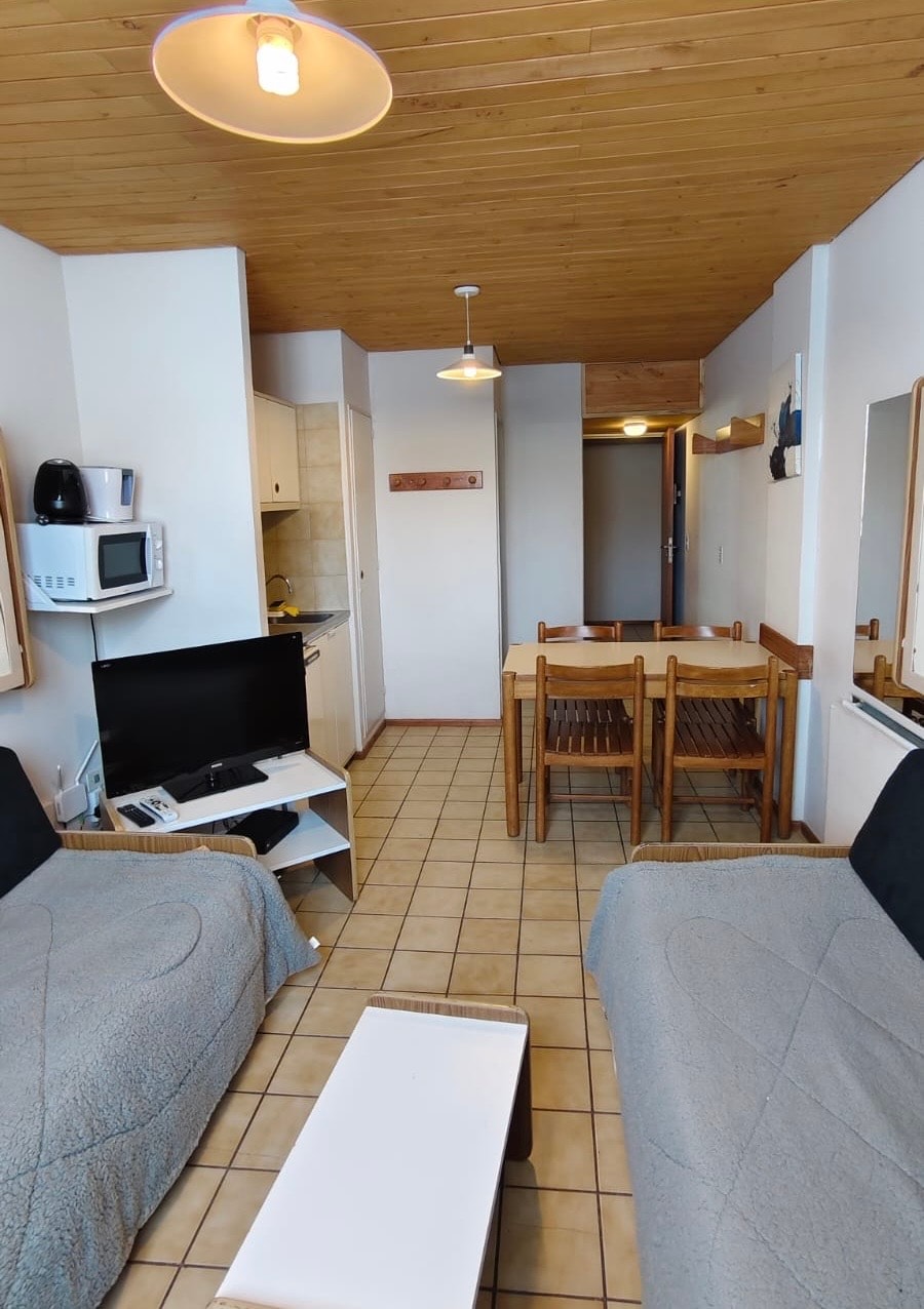 Top performing Airbnb: Apartment in Las Leñas in Departamento Malargüe