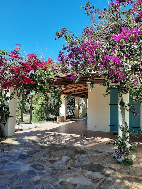 Le Palme - Private Oasis