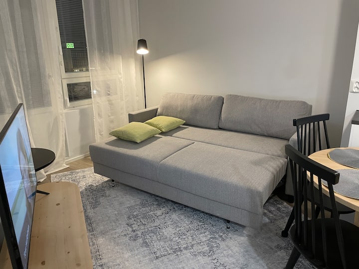 Polar Pine Apartment/rvn Center - Rovaniemi