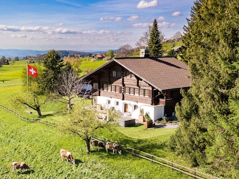 Largest Luxury Estate near Interlaken | Spa | AC