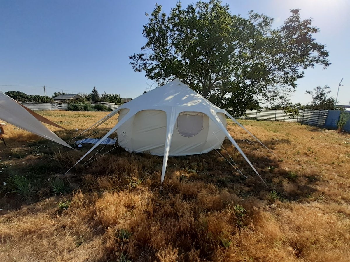 A spacious tent with a 5-meter diameter is set on a grassy area, surrounded by dry grass and sunlight. The tent features multiple openings and angled support poles, providing ample ventilation. A large tree offers shade nearby, contributing to the rustic outdoor environment.