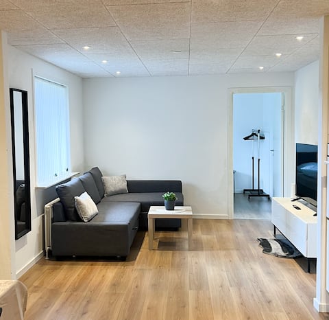 Top performing Airbnb: Lovely Apartment Billund in Billund