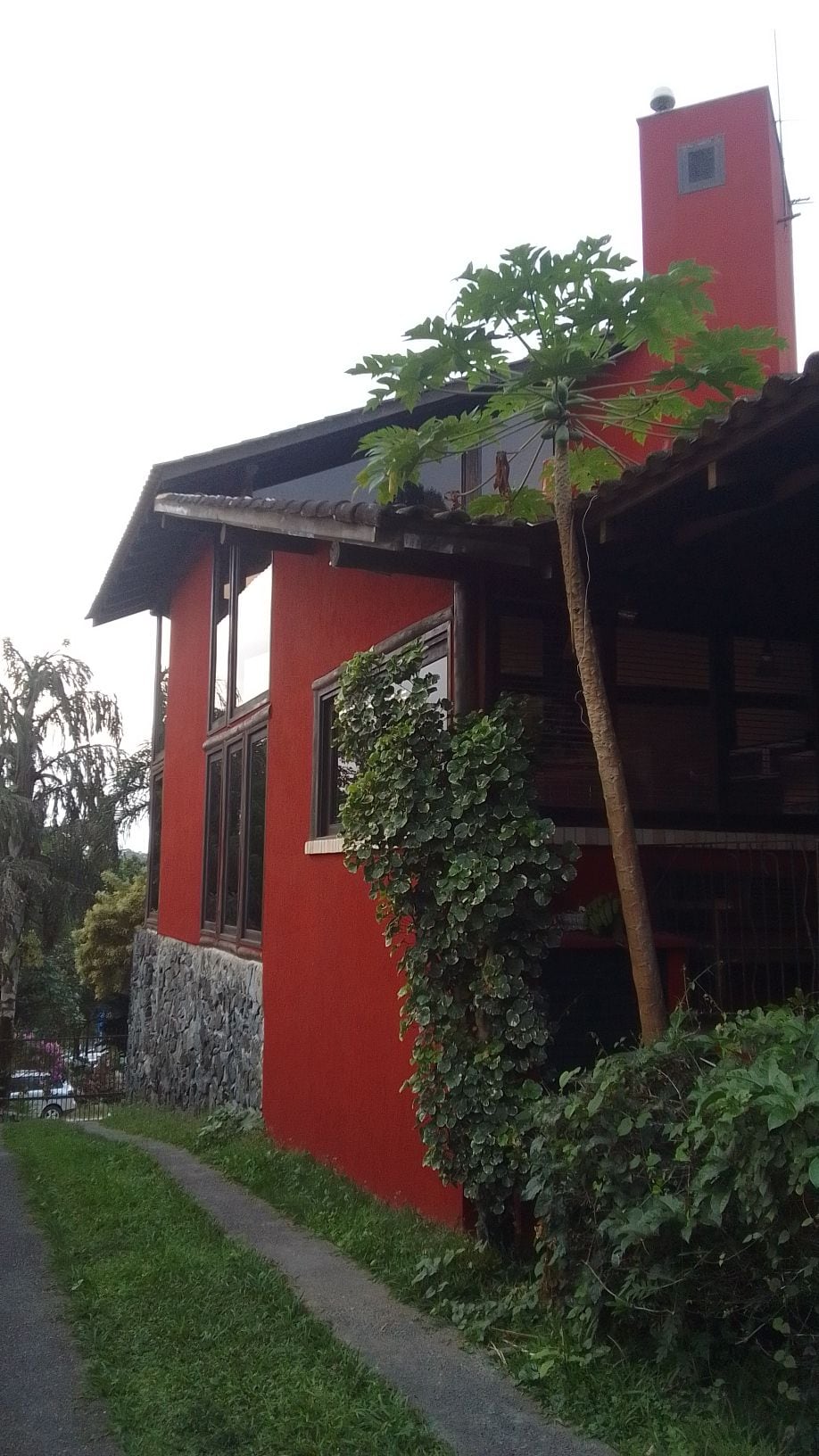 The exterior of a modern, red-painted house is showcased, featuring large windows that allow natural light into the indoor spaces. A tree and greenery climb the wall, enhancing the connection between the structure and its surrounding landscape.