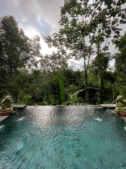 NEW! Jungle escape