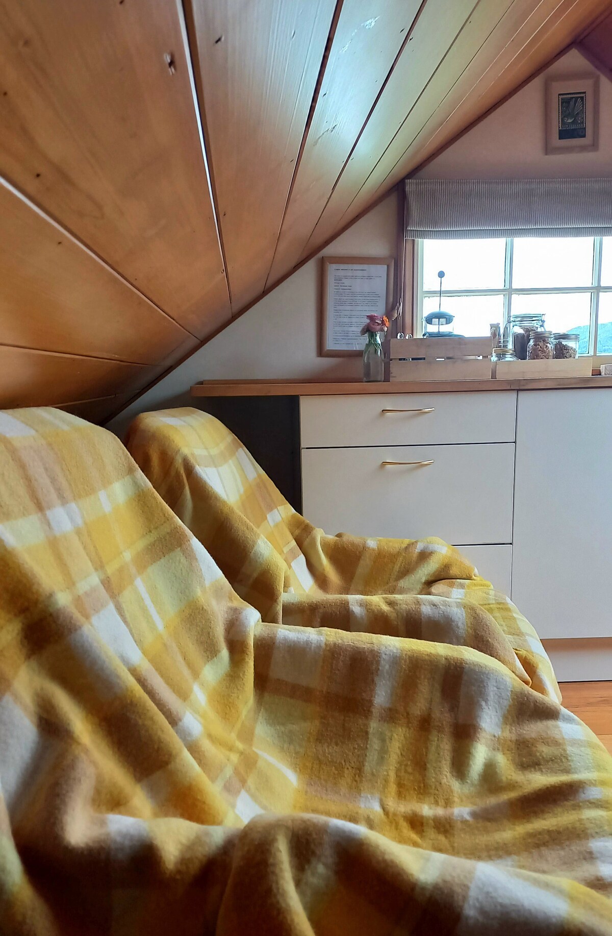 Popular Airbnb listing: Cottage stay Staveley + breakfast, no cleaning fee in Ashburton District West