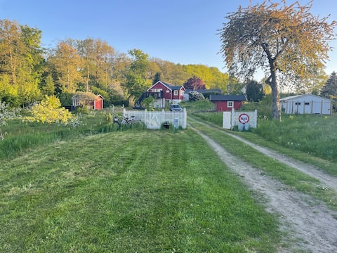 Unique house & two guesthouses with large apple orchard