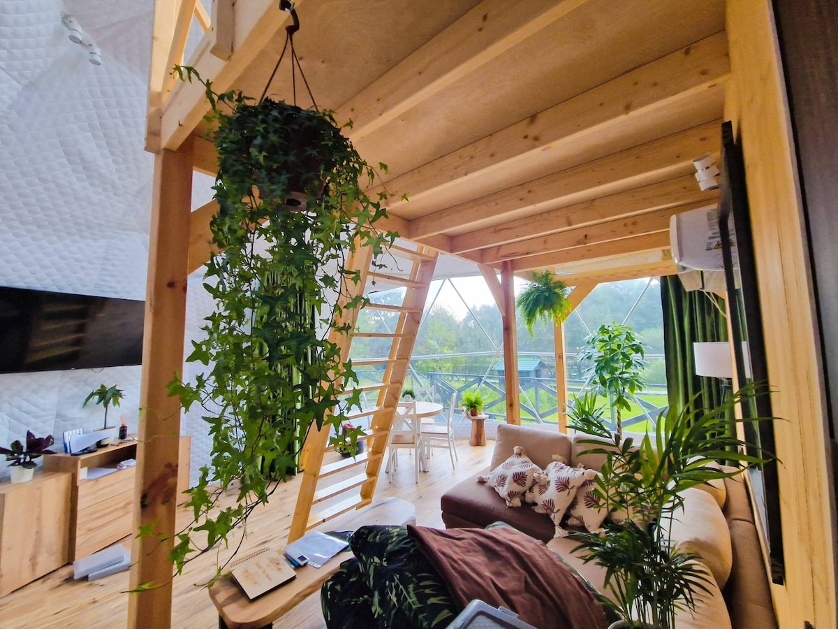 An open living area features wooden beams and large windows, allowing natural light to flood the space. A comfortable sofa is arranged with decorative pillows, complemented by indoor plants. A staircase leads to an upper sleeping area, with a dining table visible in the background.