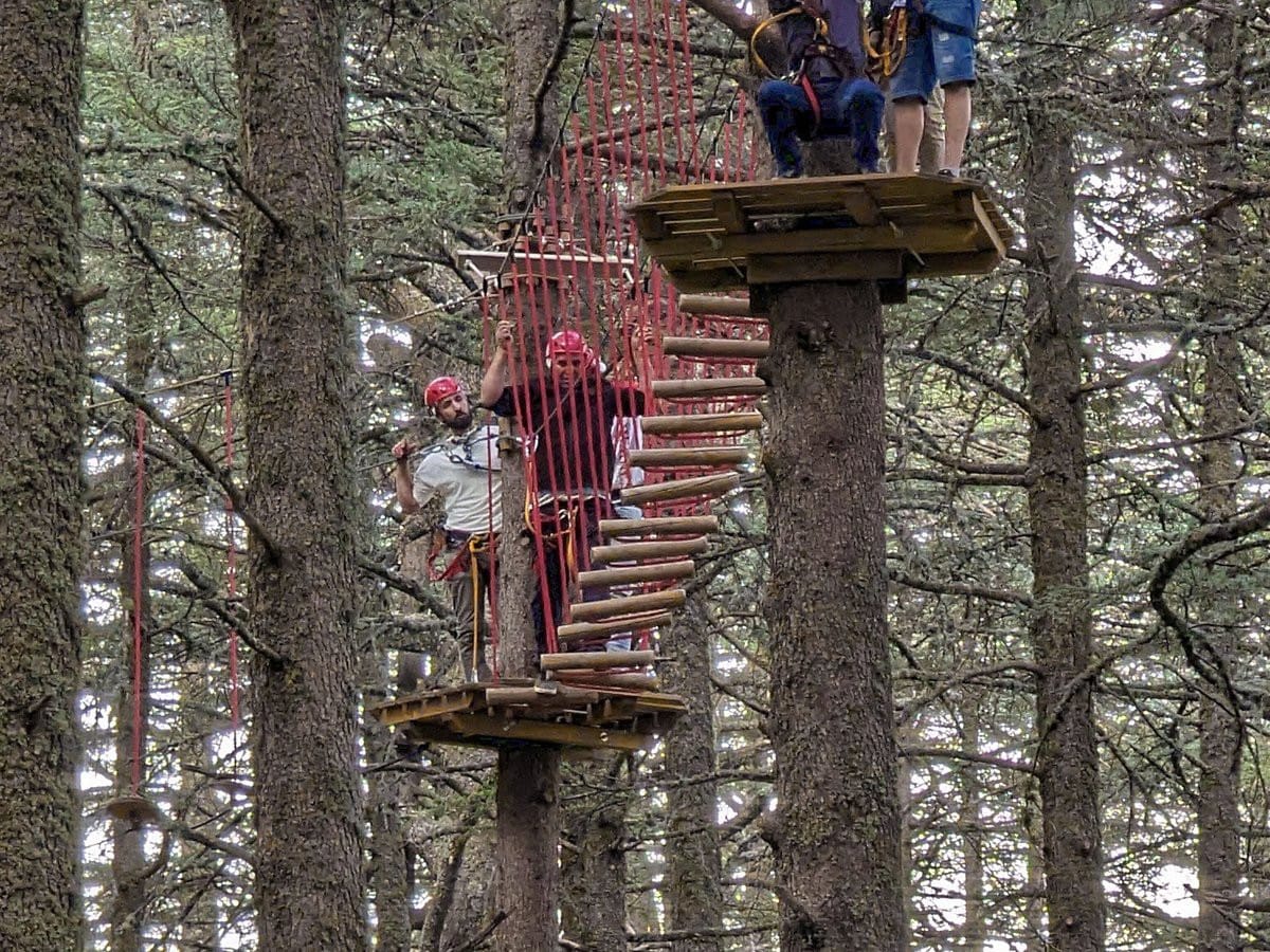 An outdoor adventure activity is depicted in a forest setting, featuring wooden platforms elevated among trees. Participants are seen navigating a rope course, equipped with safety gear. Surrounding greenery offers a natural backdrop, while shadows cast by the trees add depth to the scene.