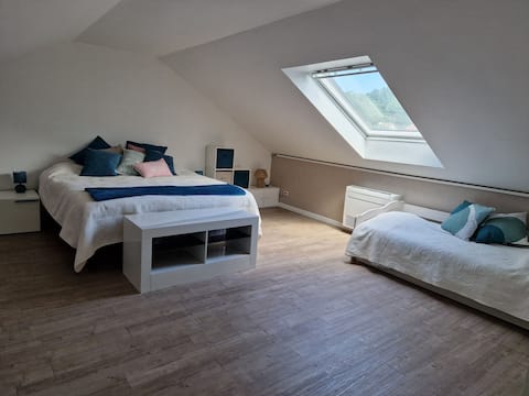 Large room near Disney