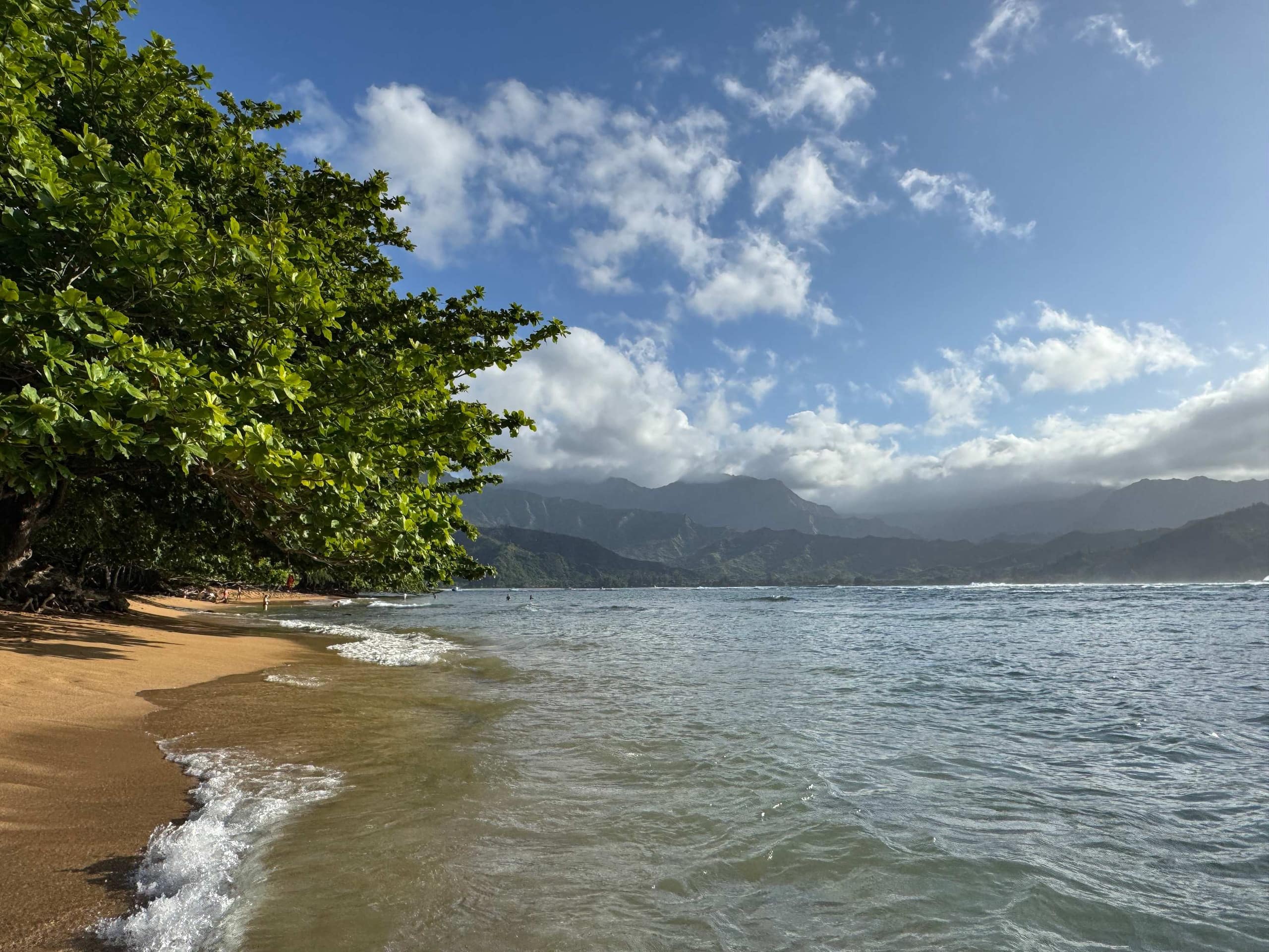 Condo in Princeville · ★4.95 · 2 bedrooms · 3 beds · 2 baths - Image 5