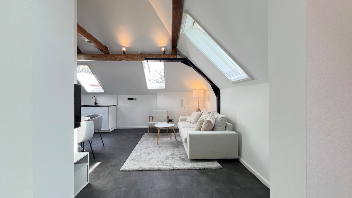 Top Airbnb: LudwigsHome: Zentral | Luxusbad | Workspace | a Ludwigsburg