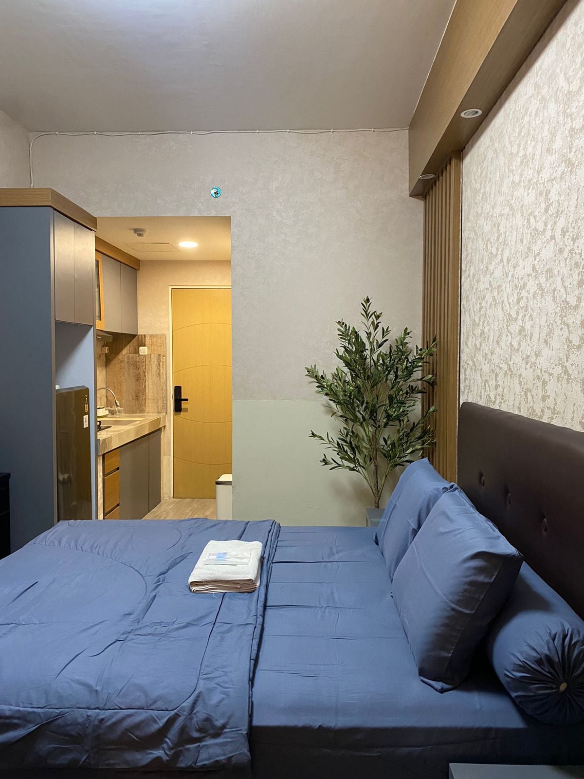 A well-arranged sleeping area features a spacious bed with blue bedding. An olive tree plant provides a touch of greenery. The background leads to a kitchenette area, indicating a functional living space with warm-toned cabinetry and an inviting doorway.
