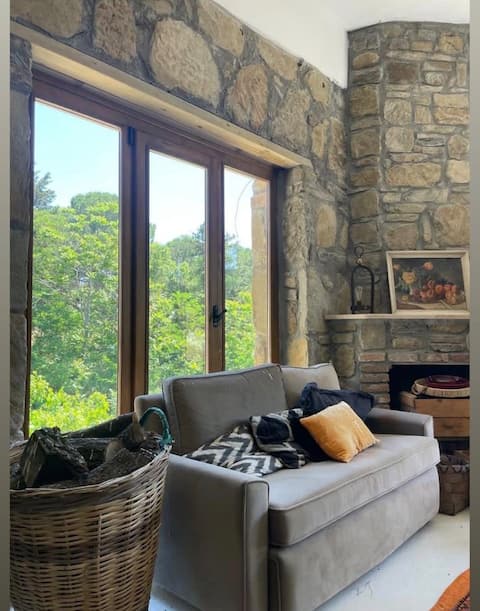 Owl's nest - Owl's nest