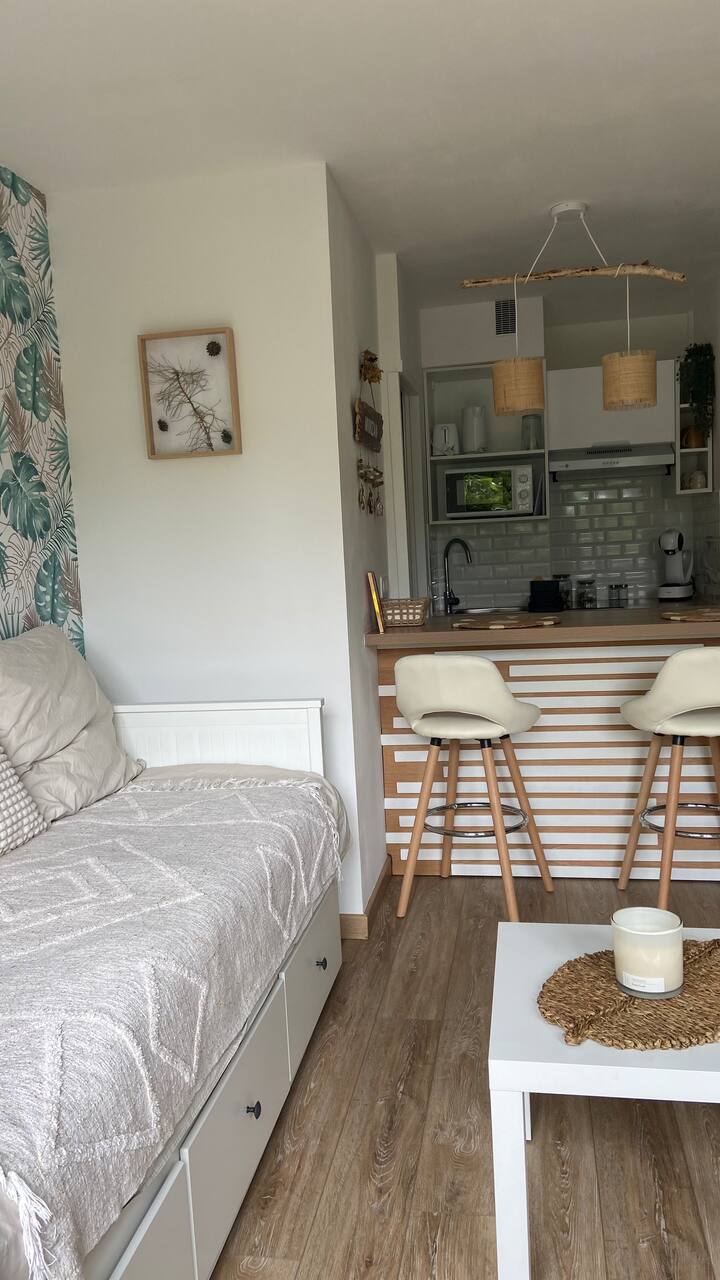 Studio Tout Confort   Proche De La Plage - Mimizan