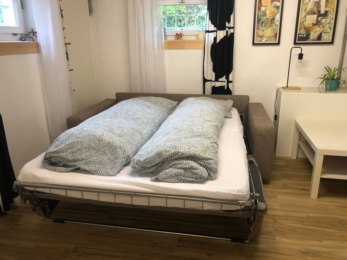 A convertible sofa bed is neatly displayed in a light-filled room, adorned with two evenly placed comforters. A small table and plant are arranged nearby, alongside artwork hung on the walls and window coverings that allow natural light. Warm wooden flooring adds to the inviting ambiance.