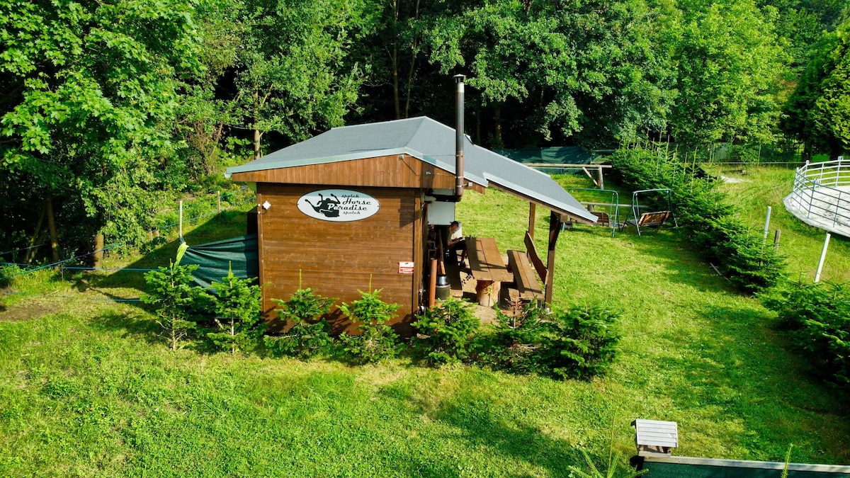 A wooden structure is situated in a grassy area surrounded by trees. Outdoor seating is available on a shaded patio, with a picnic table and benches evident. A small garden area features low shrubs, contributing to the serene natural setting.
