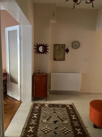 Tarihi Yeşil Mozaik Apartman Dairesi gallery image 5