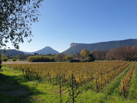 Country house 120 m2 at the foot of Pic St Loup