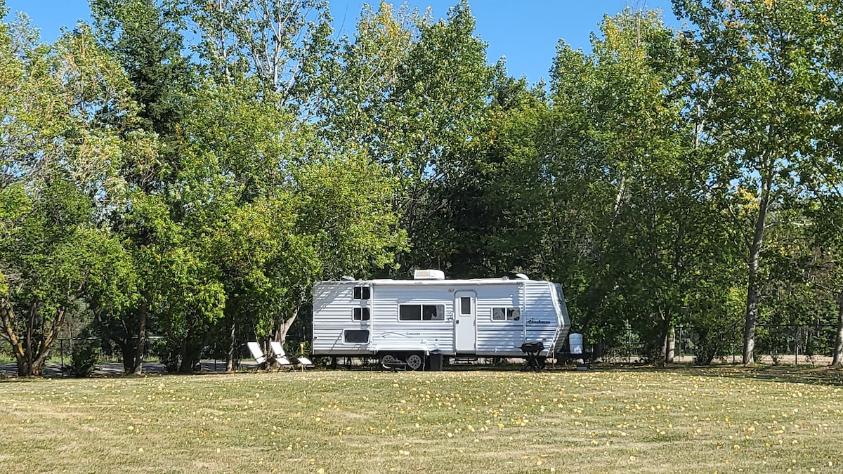 A silver travel trailer is set among a lush, green landscape, surrounded by tall trees. Two white lounge chairs are positioned nearby on a manicured lawn, providing a peaceful setting under a clear blue sky.