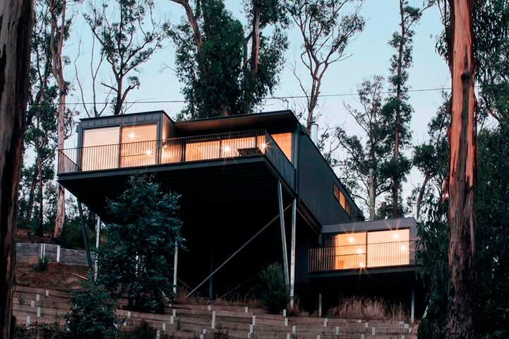 WYE UP – amongst the treetops