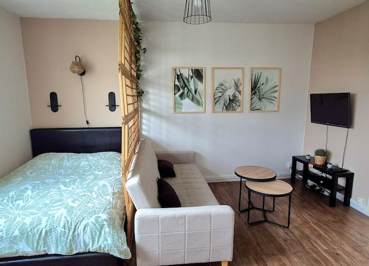 Studio Privé Proche Arena, Ol Vallée Et Metro Lyon - Vaulx-en-Velin