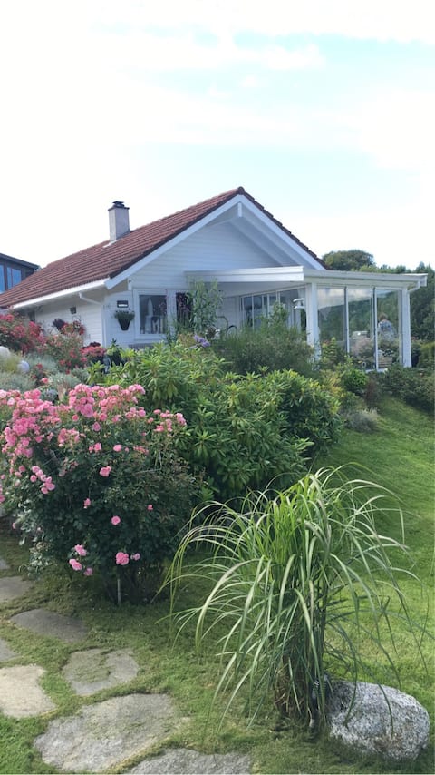 Popular Airbnb listing: Idyllic place in Ryfylke! in Hjelmeland