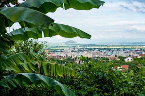 Belvedere: exotic location