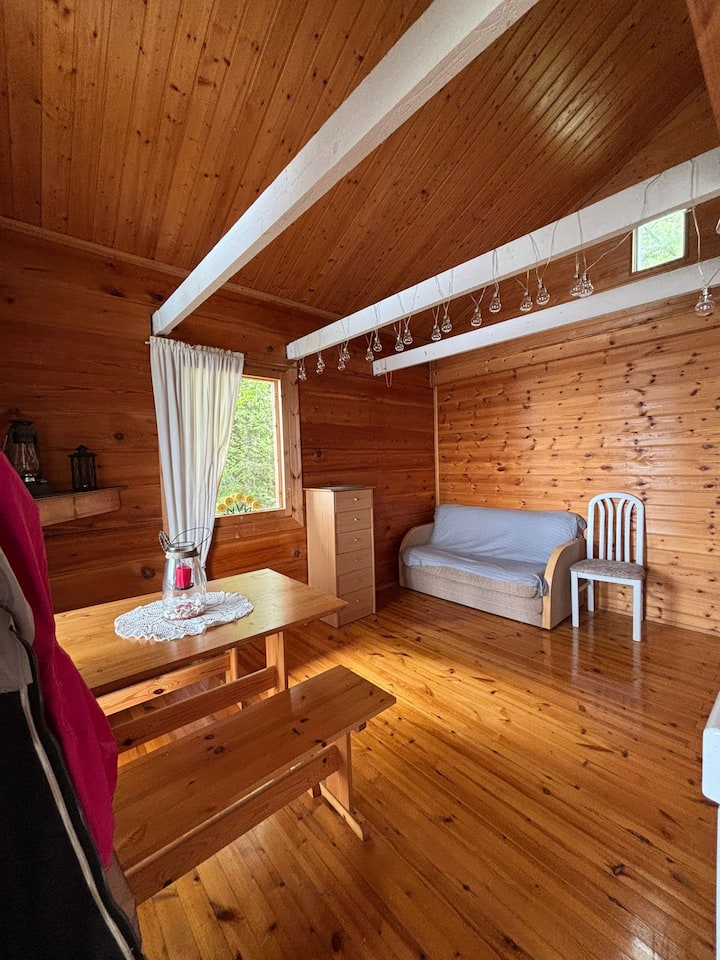 Traditional Finnish Lakeside Off-grid Cabin - Polvijärvi